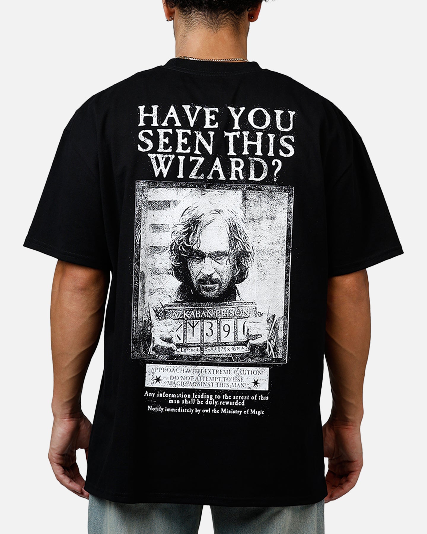 Goat Crew X Harry Potter Sirius Black Acidwash Vintage T-Shirt - A Must-Have for Fans