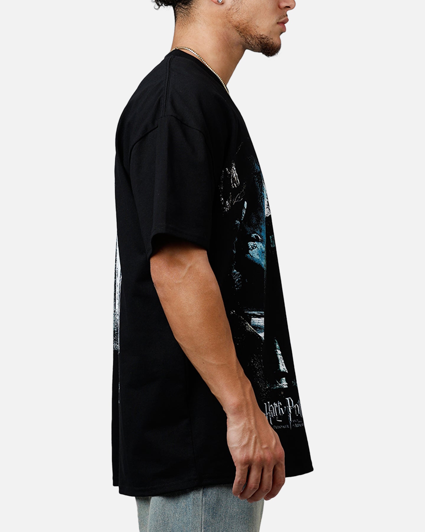 Goat Crew X Harry Potter Sirius Black Acidwash Vintage T-Shirt - A Must-Have for Fans